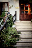 A staircase with greenery on the railing, leading to a wooden door.