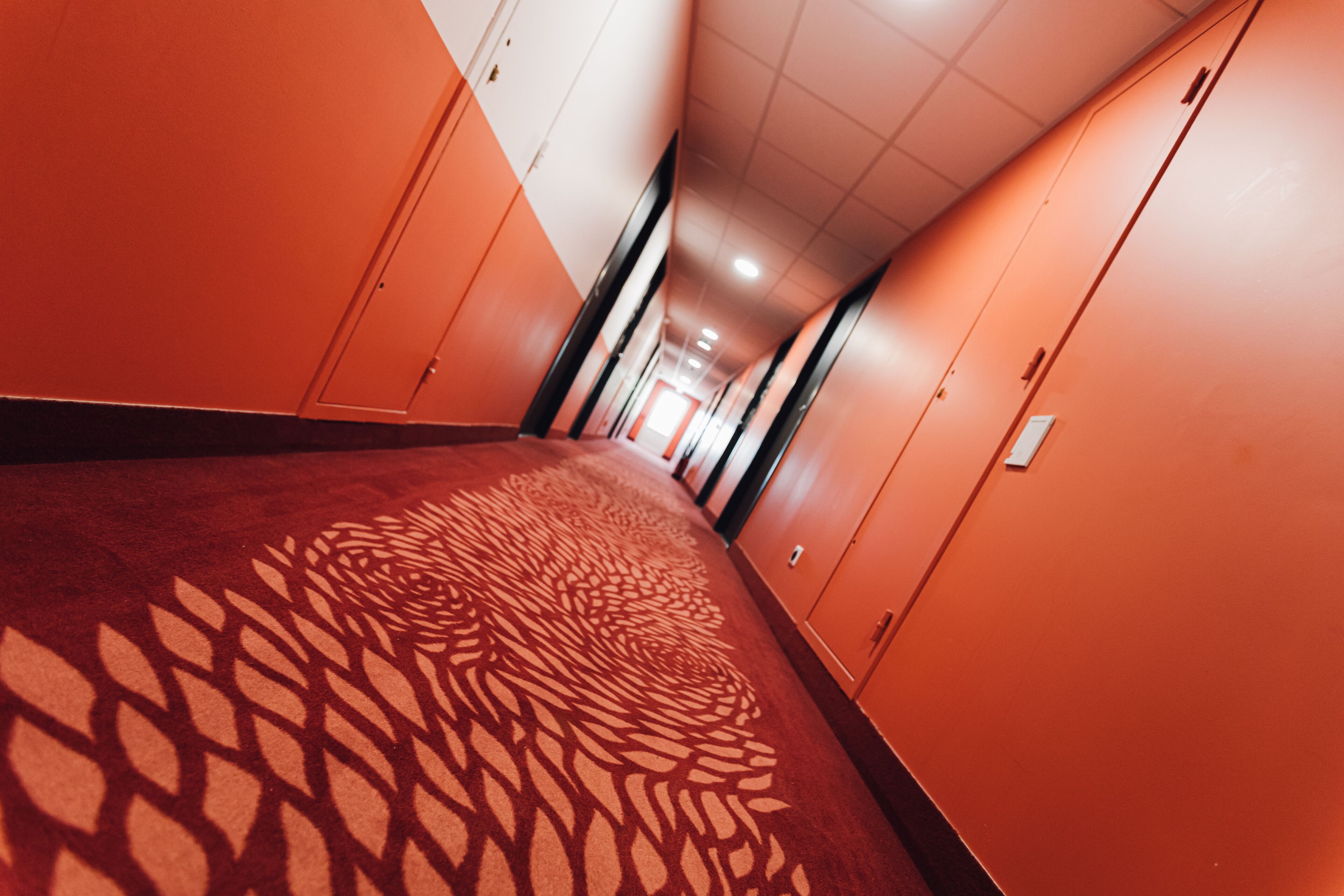 A corridor with a patterned carpet, orange walls, and doors.