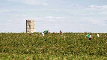 A field with people working, a tower-like structure, and a clear sky.