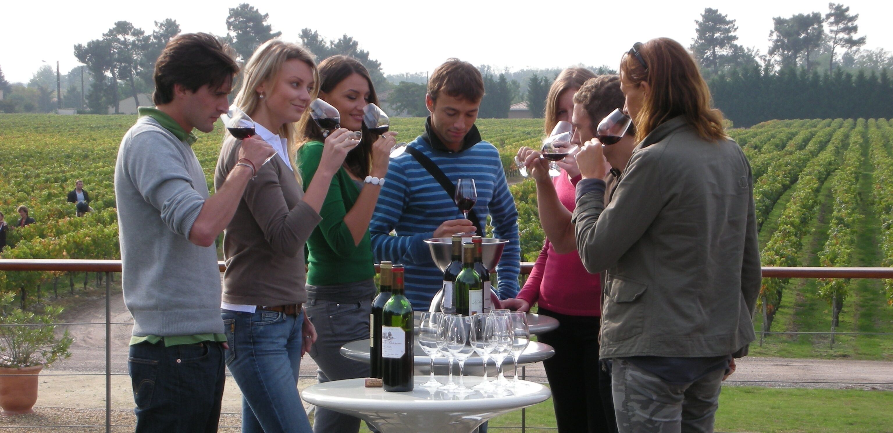 Un grupo de personas reunidas alrededor de una mesa con botellas y copas de vino, al aire libre con un viñedo de fondo.