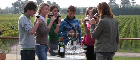 Un grupo de personas reunidas alrededor de una mesa con botellas y copas de vino, al aire libre con un viñedo de fondo.