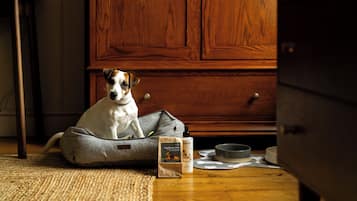 Pet-friendly