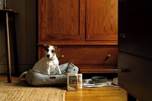 Pet-friendly - The Swan (Arundel)