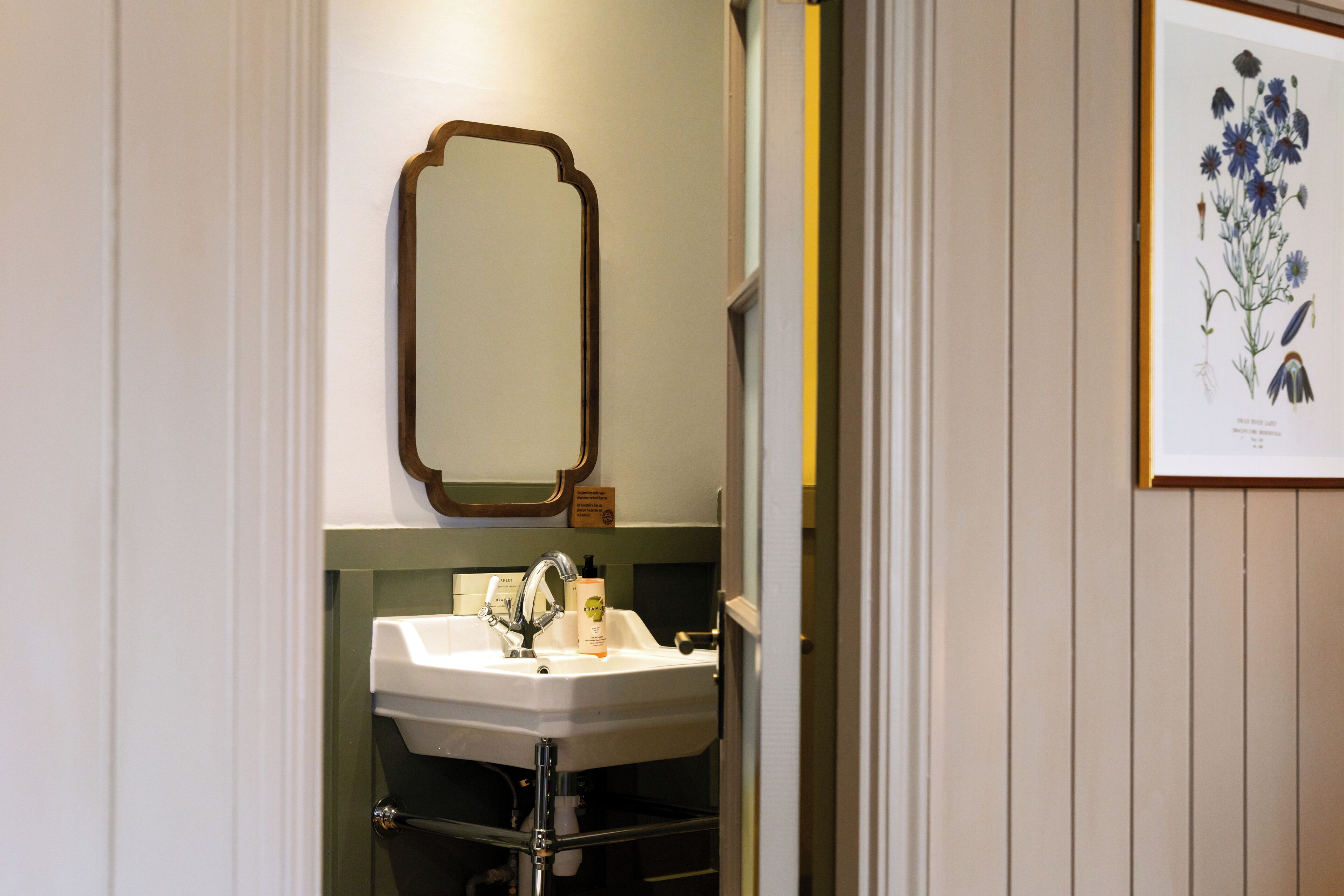 A bathroom with a white sink, a mirror, and a framed botanical illustration on the wall.