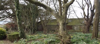 Balyett Farmhouse B&B