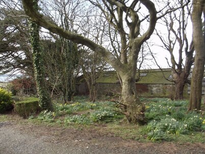 Balyett Farmhouse B&B