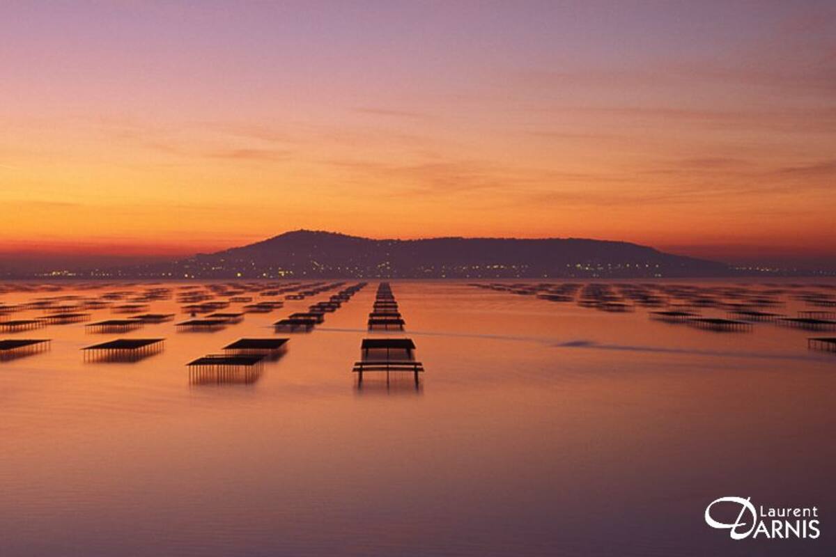 A long pier extending into calm waters at sunset with a distant cityscape.