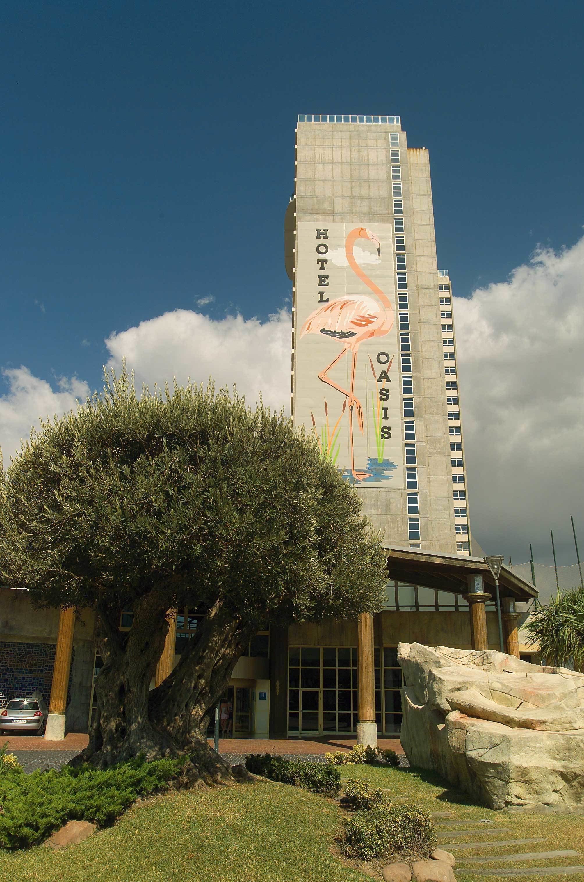 Photo - Medplaya Hotel Flamingo Oasis