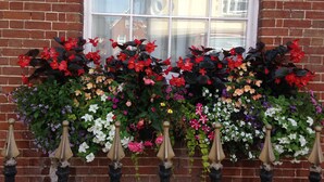 Un edificio de ladrillo con una ventana y una caja de flores con diversas flores.