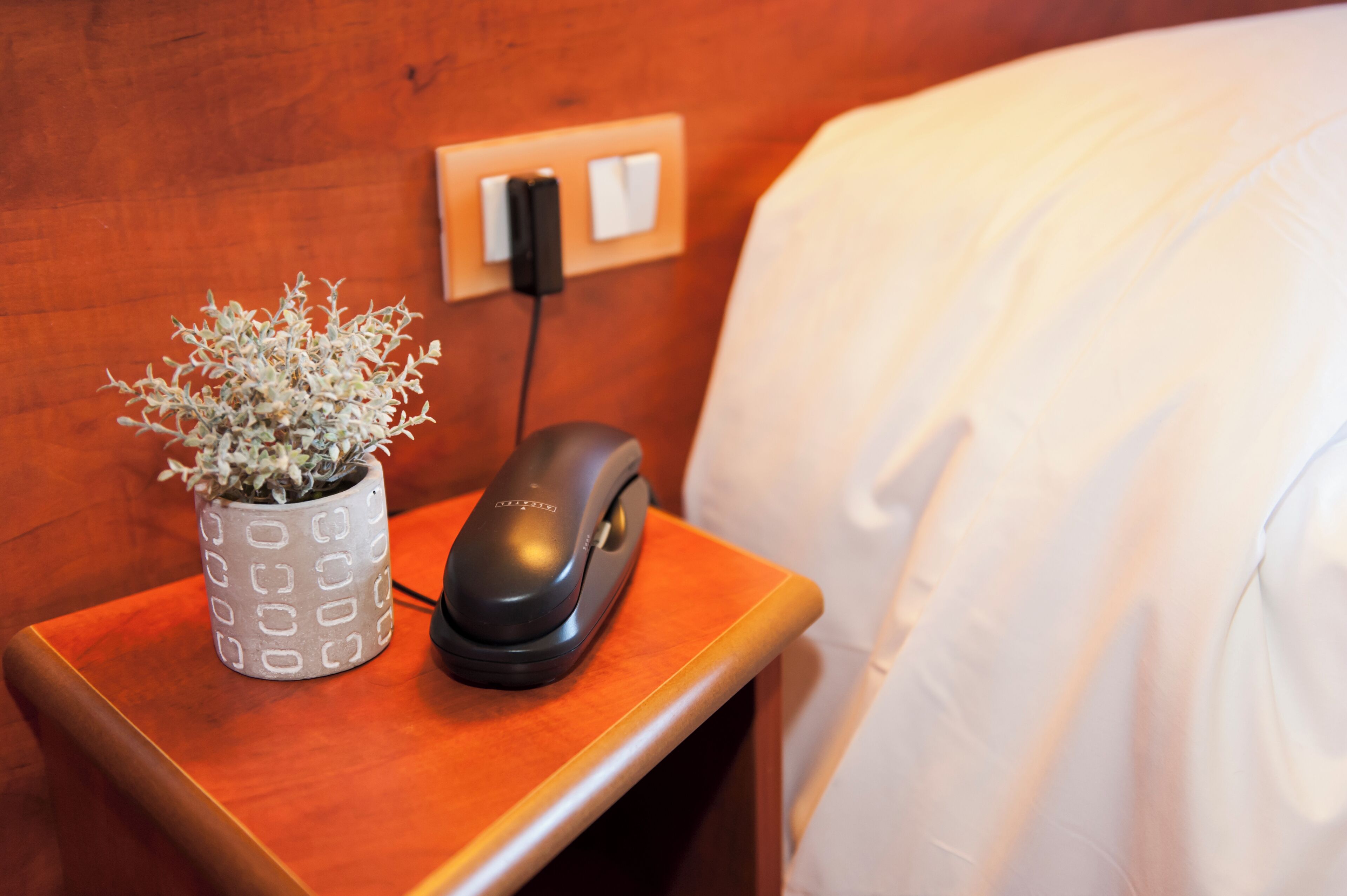 A wooden bedside table with a white plant in a patterned pot and a black remote control.