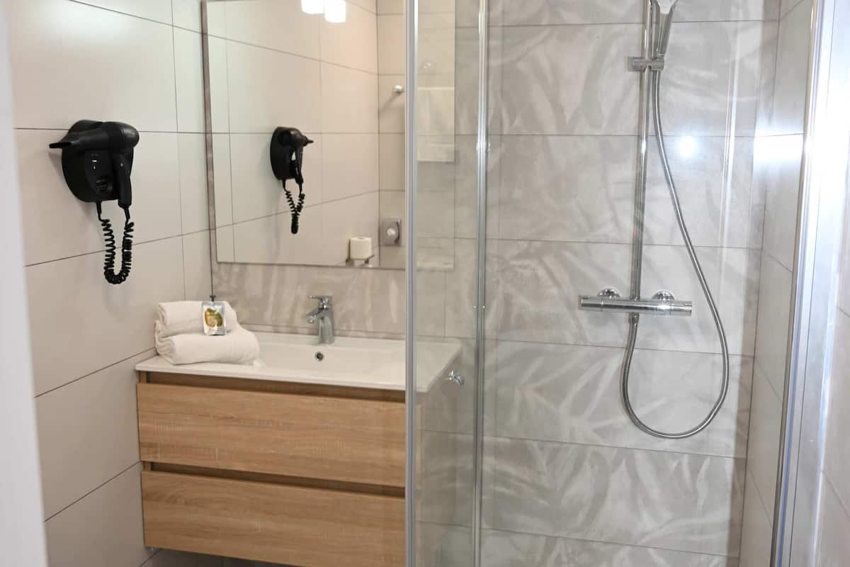 shower, free toiletries, hair dryer, towels