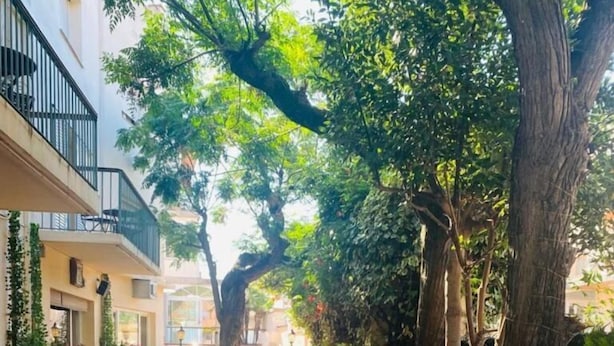 Uma área externa com mesas e cadeiras de madeira, cercada por árvores e plantas.