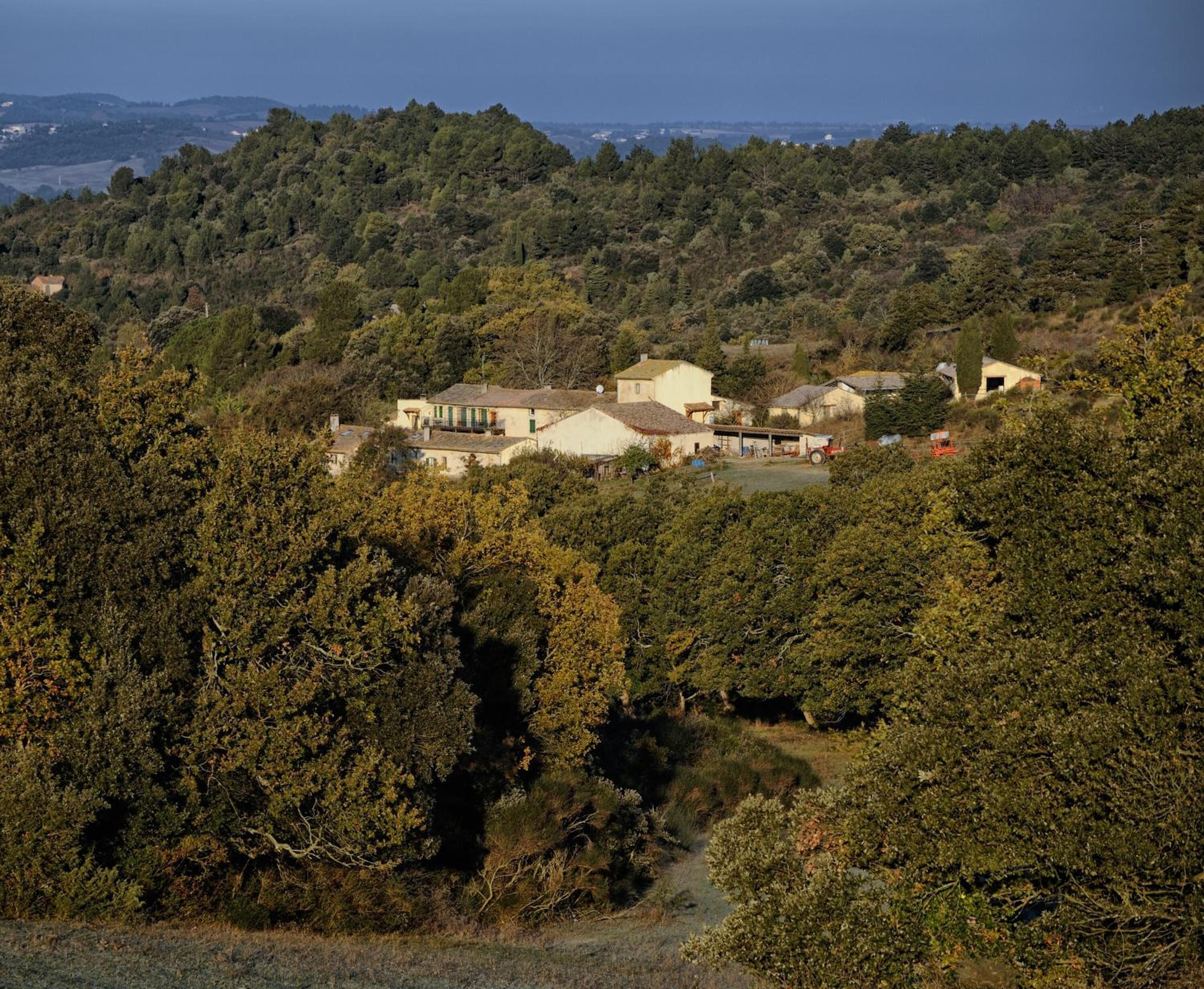 A rural landscape with houses nestled among dense trees, a clear sky, and distant hills.
