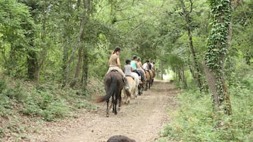 A group of people riding horses on a dirt path surrounded by dense greenery.