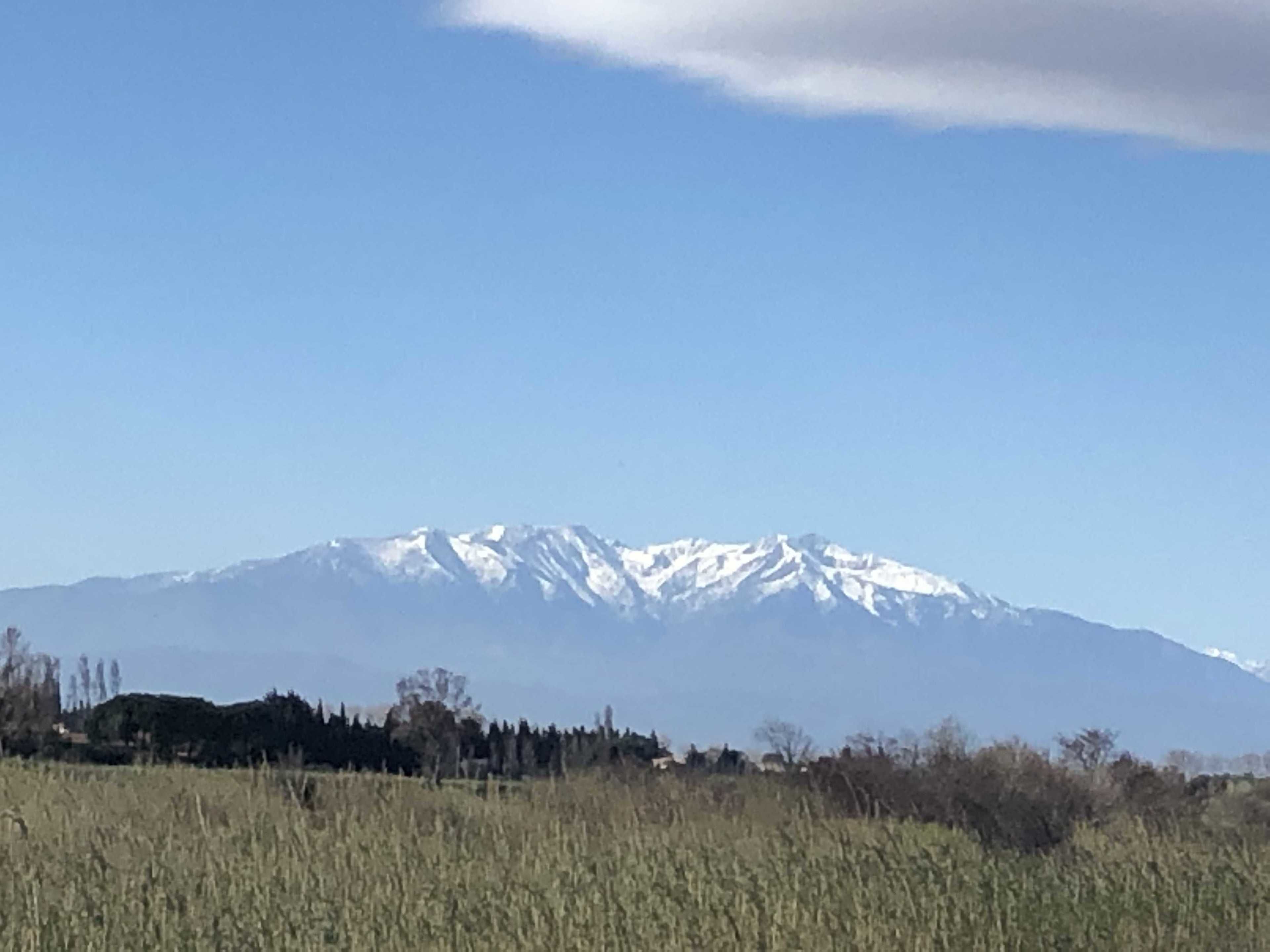 Foto - Hotel du Port