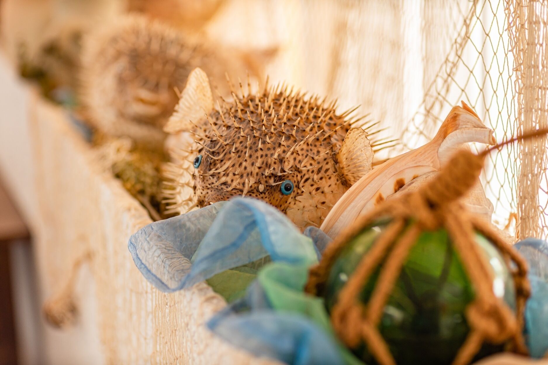 Foto - Hotel du Port