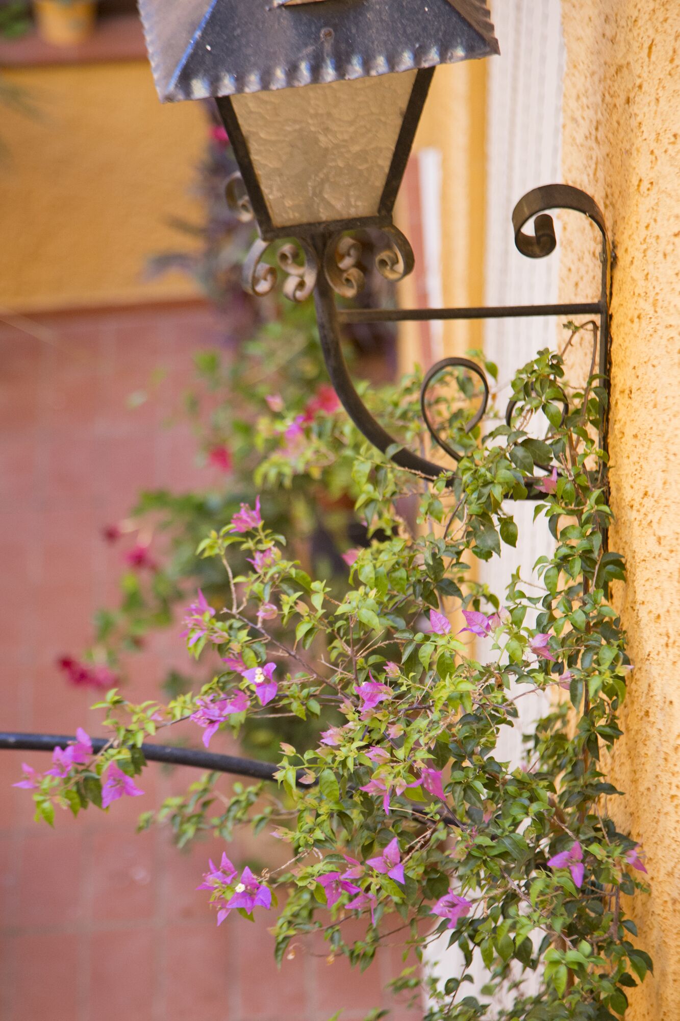 Foto - Hostal Loreto