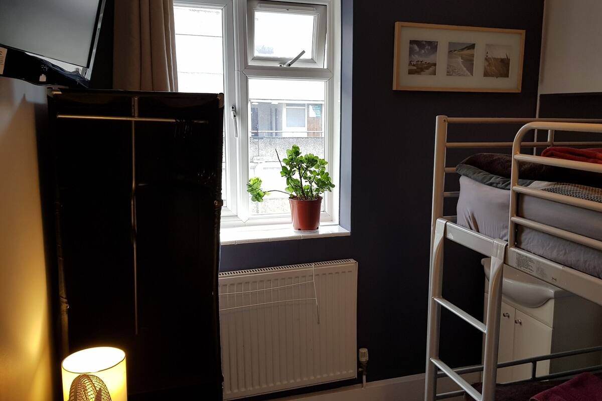 A dormitory room with bunk beds, a radiator, a window with a plant, and a framed picture on the wall.