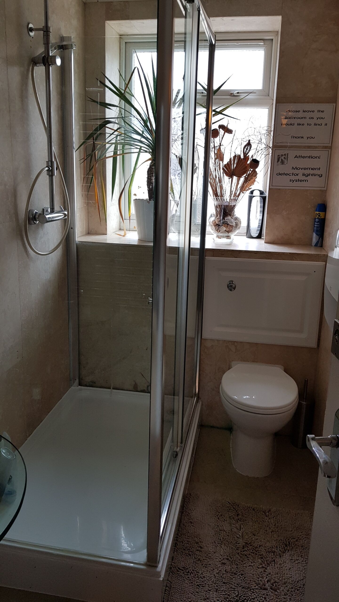 A small bathroom with a glass-enclosed shower, a toilet, and a window with plants.