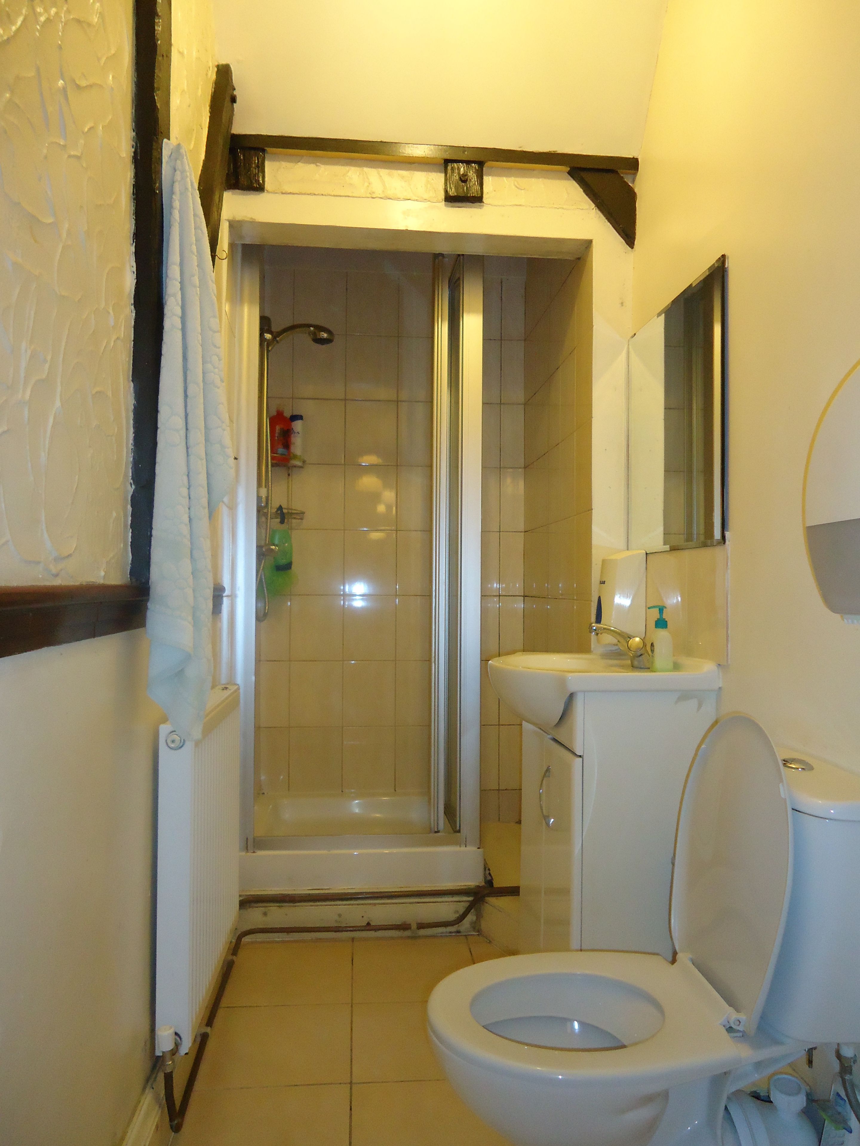 Een badkamer met een douche, toilet, wastafel en spiegel.