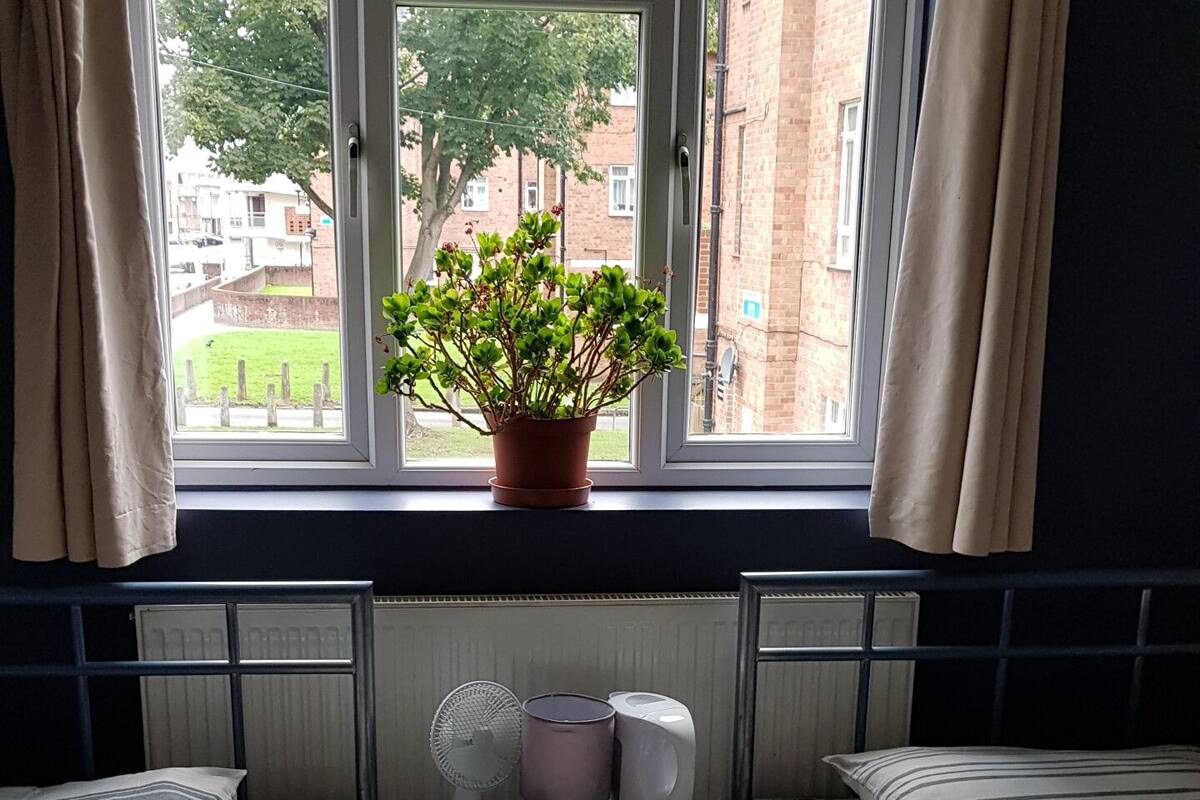 A room with two single beds, a small table with a plant, a fan, and a kettle.