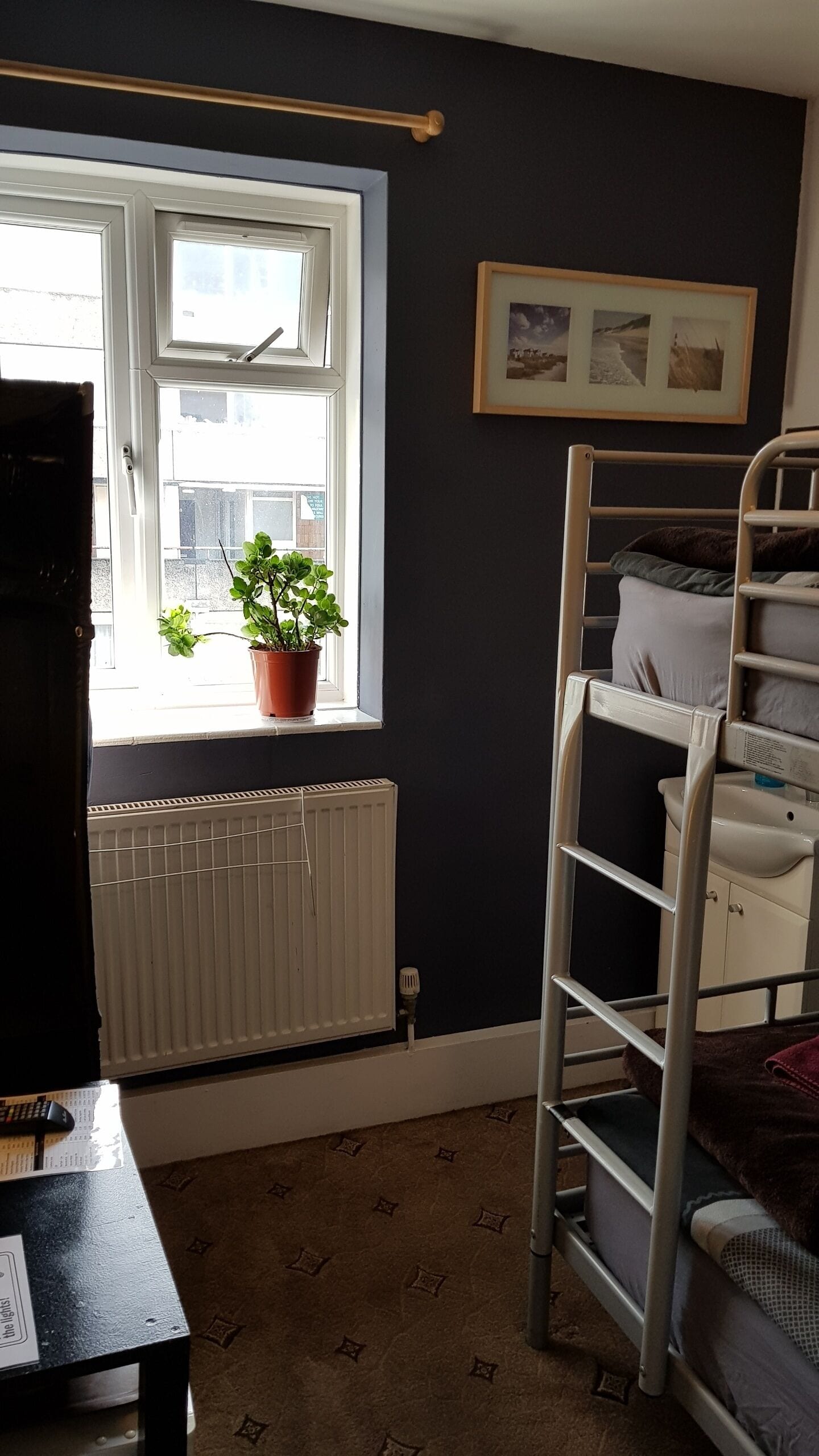 A room with a bunk bed, a radiator, a window with a plant, and a framed picture on the wall.