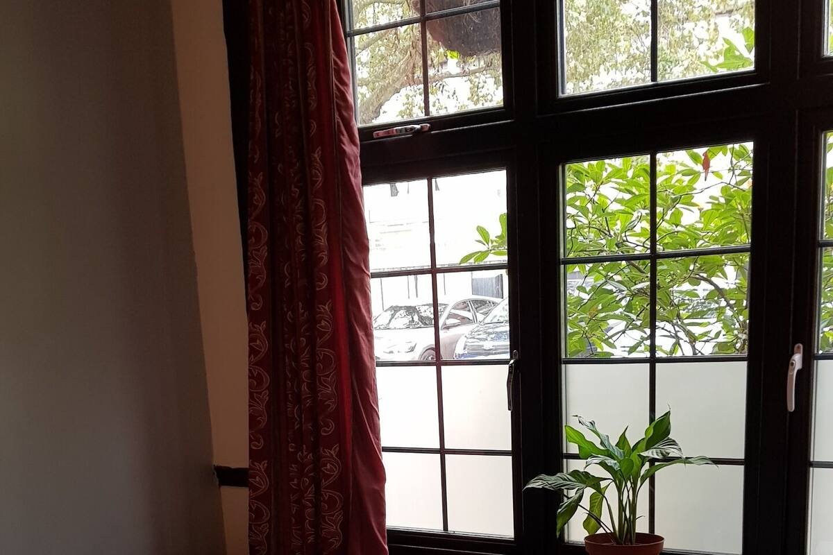 A bed with striped bedding and a brown blanket, a window with a view of trees and parked cars, and a potted plant on the windowsill.