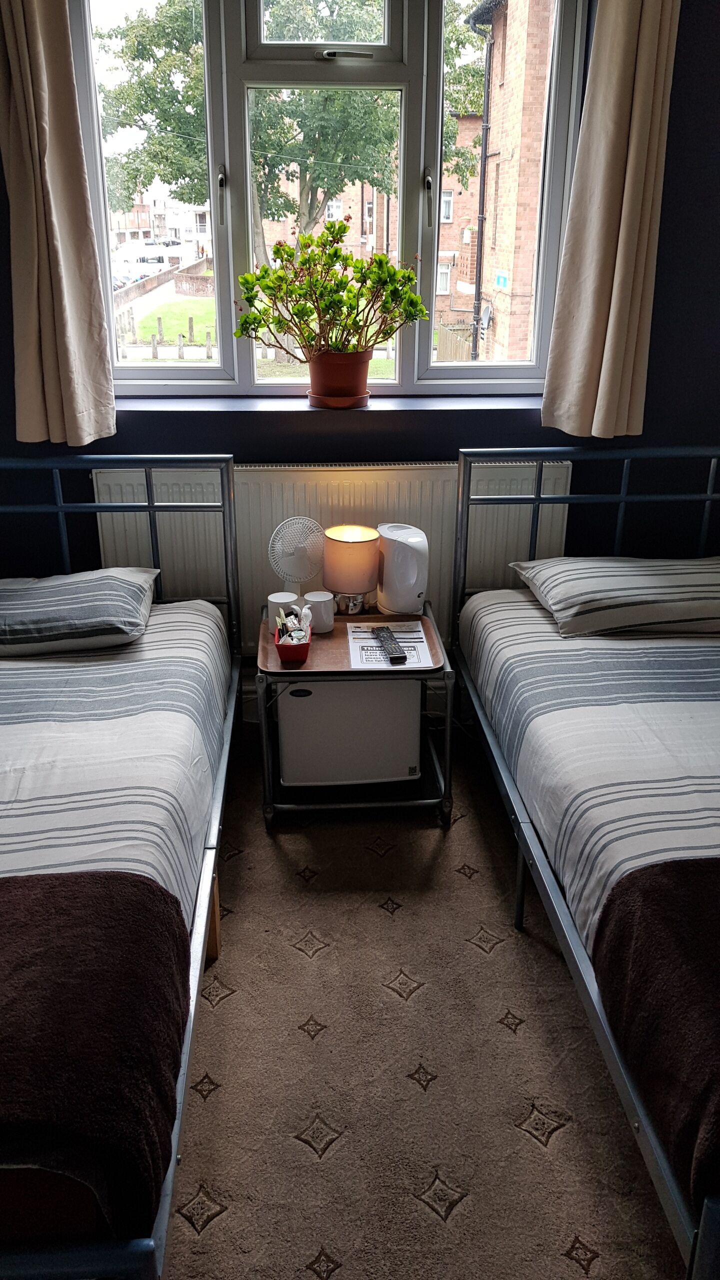 Habitación de hotel con dos camas individuales, una mesita de noche con lámpara, una planta en maceta y una ventana con vistas a edificios y árboles.