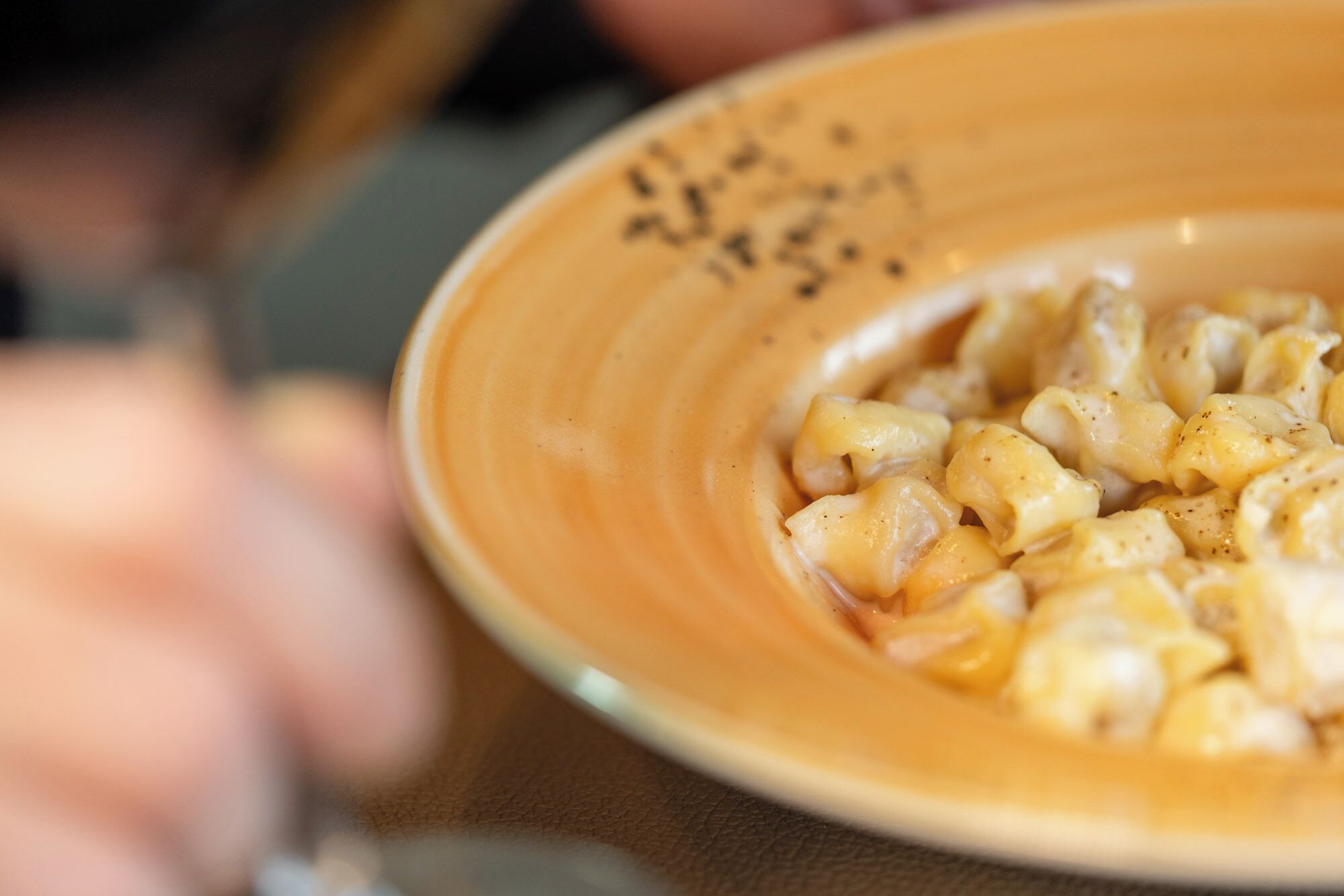 A close-up of a bowl with a creamy dish, possibly macaroni and cheese, with a focus on the food.