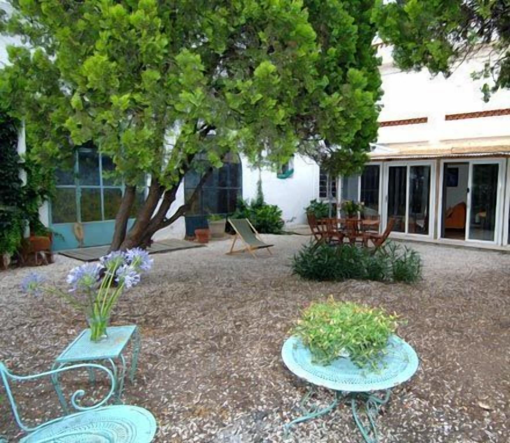 A patio area with a table and chairs, a small tree, and a potted plant.