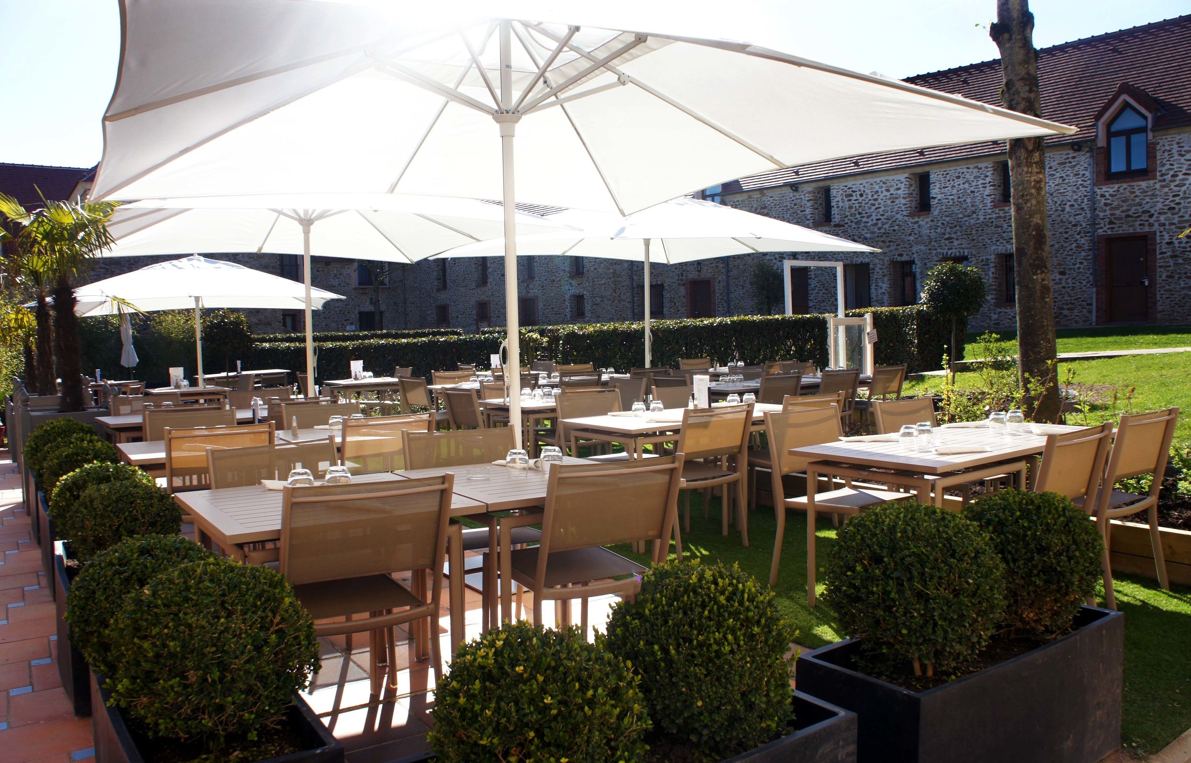 Un área de comedor al aire libre con mesas y sillas, sombrillas grandes y plantas en macetas.