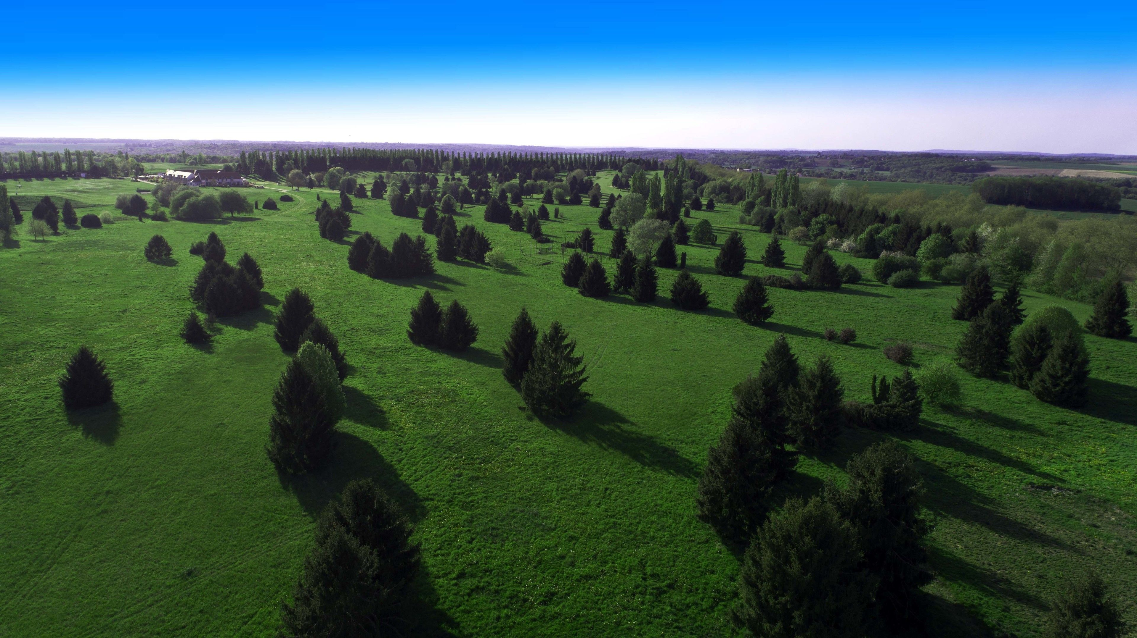 An aerial view of a green field with scattered trees and a distant horizon.