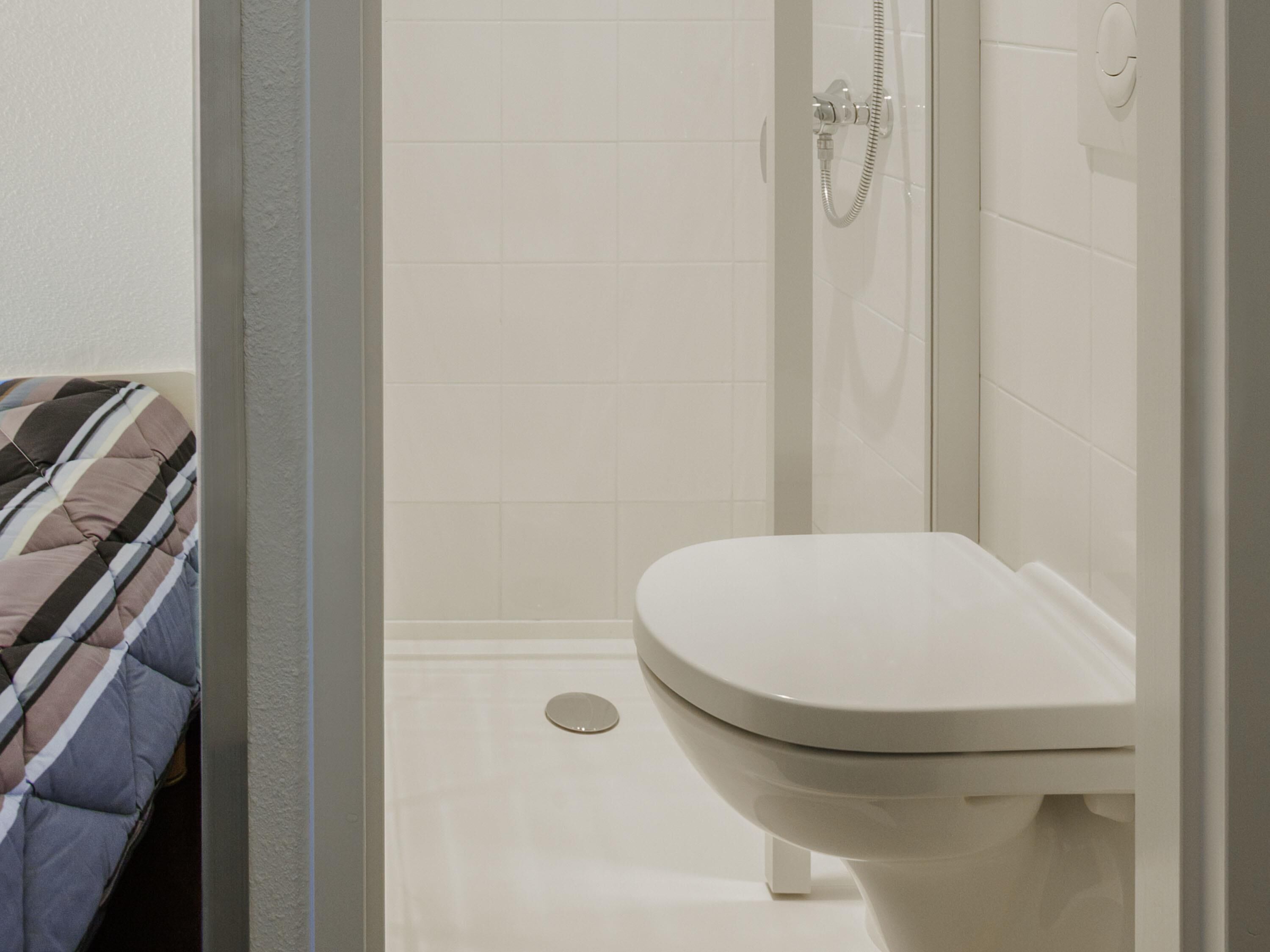 Ein Badezimmer mit Toilette, Dusche und einem Bett mit gestreifter Decke.