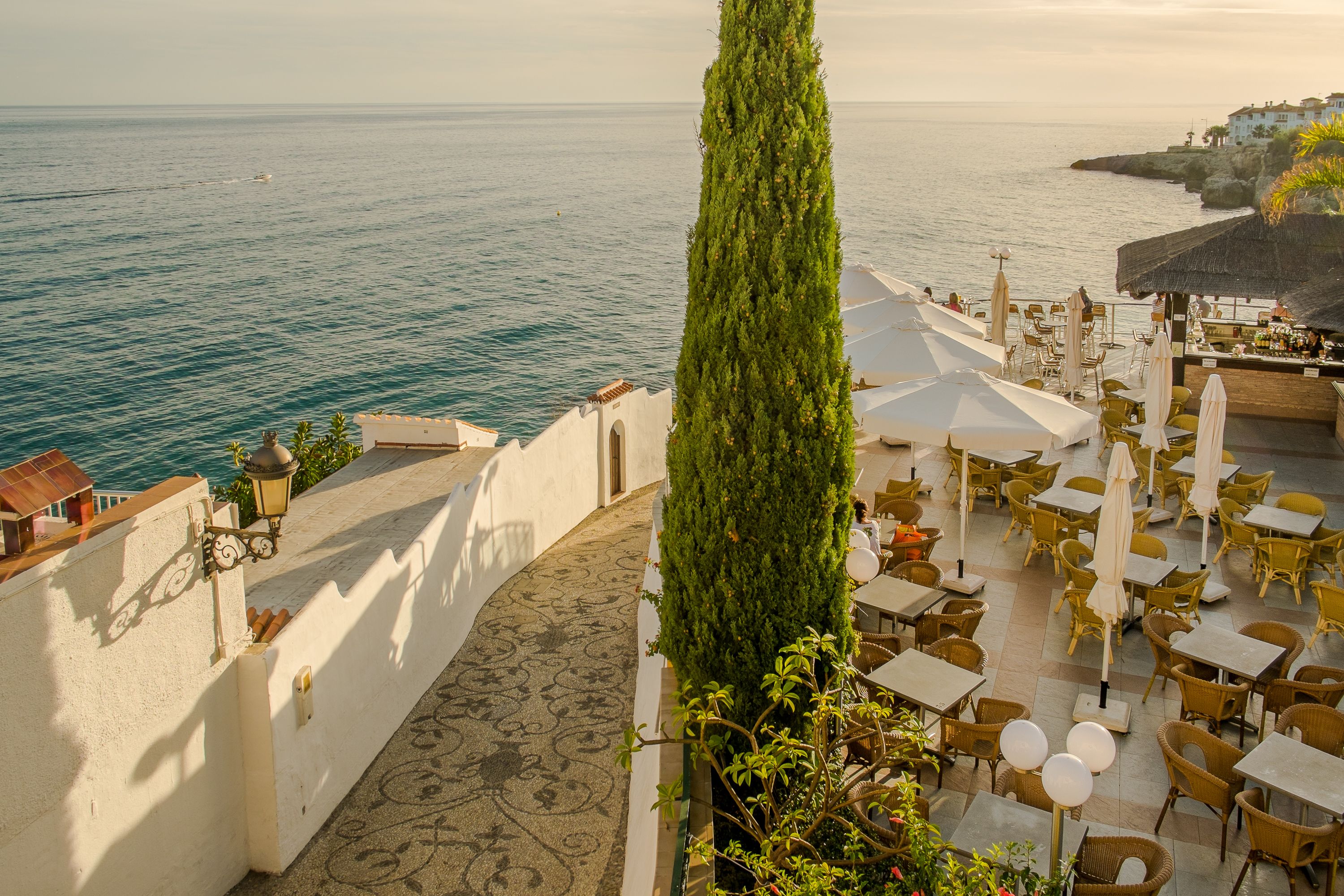 Serveert lunch en diner, Mediterrane gerechten