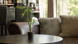 Una planta de bambú en maceta sobre una mesa redonda en una sala de estar, con un sofá y una máquina de café al fondo.