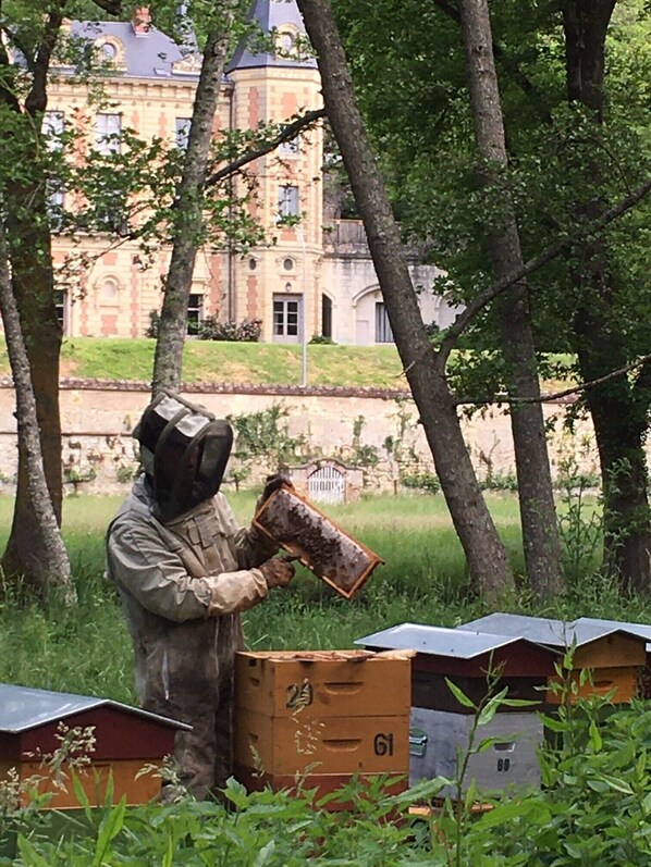 Økoturer