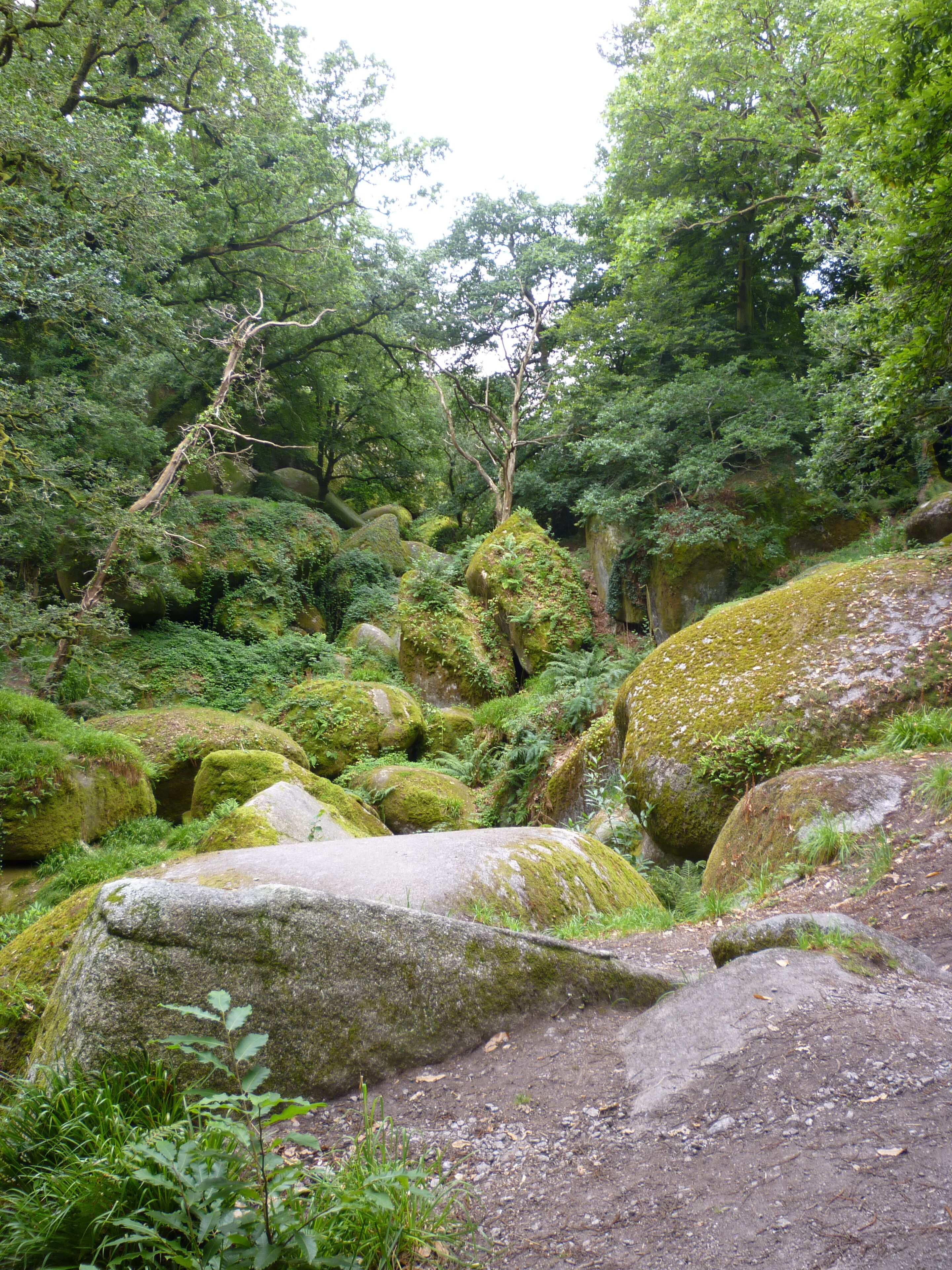 A forested area with large moss-covered rocks and a dirt path.