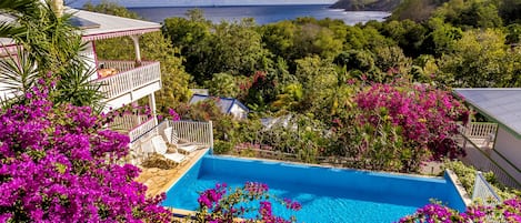 Alberca al aire libre, sombrillas en la alberca y camastros