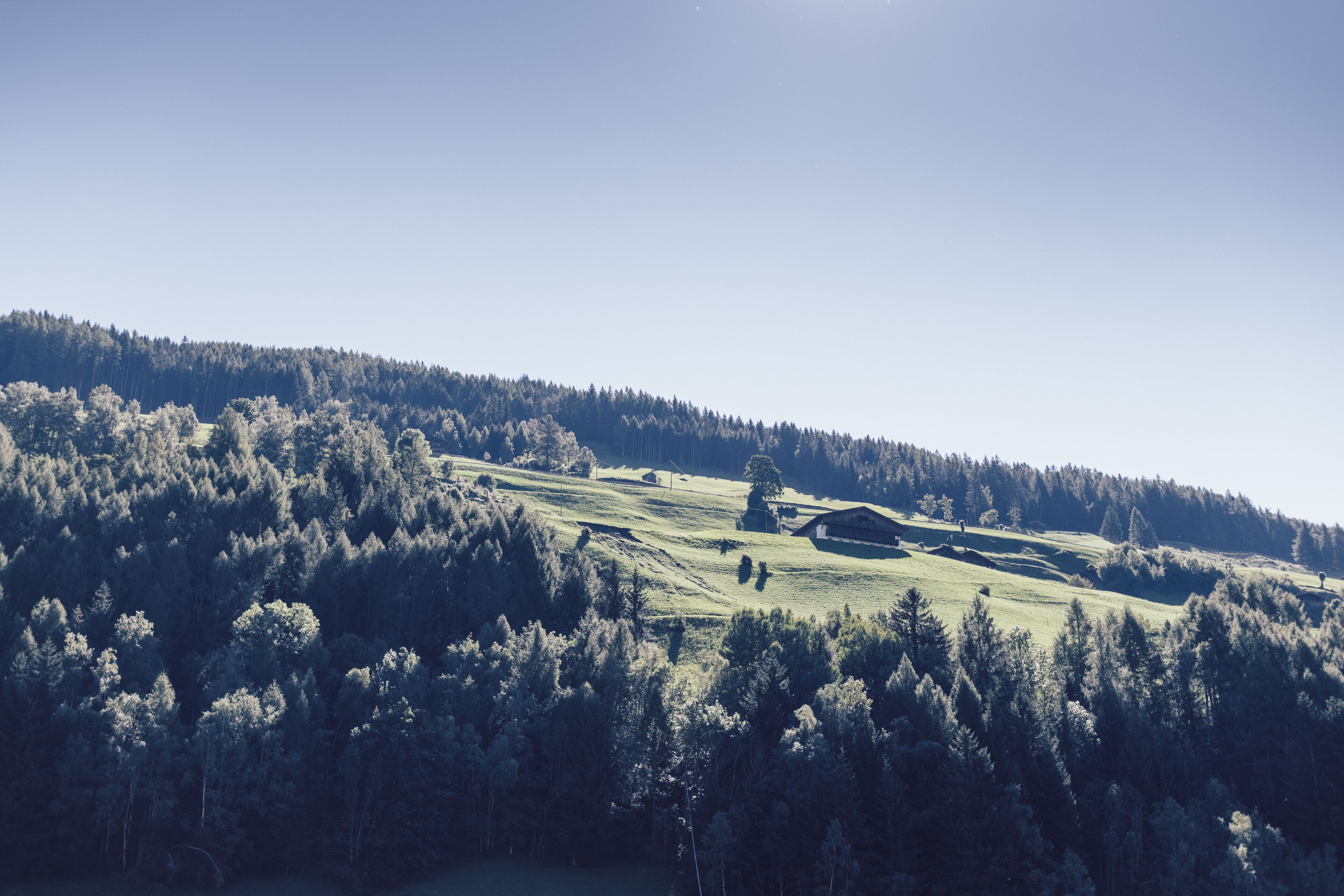 Une vue panoramique d’une colline boisée, avec un ciel dégagé.