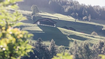 Land view from property