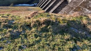 A large dam with a steep, concrete structure and a grassy foreground. - George Borrow Hotel (Aberystwyth)