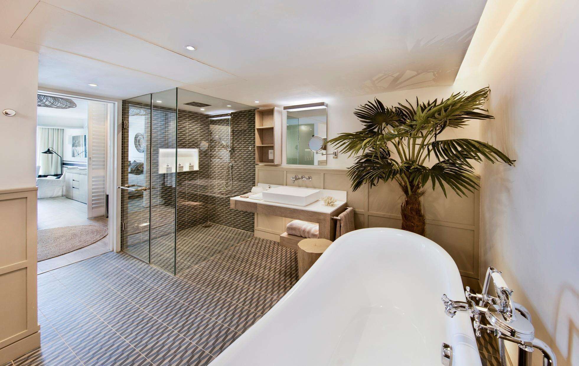 Une salle de bain moderne avec une baignoire sur pieds, une douche à parois de verre et une grande plante en pot.
