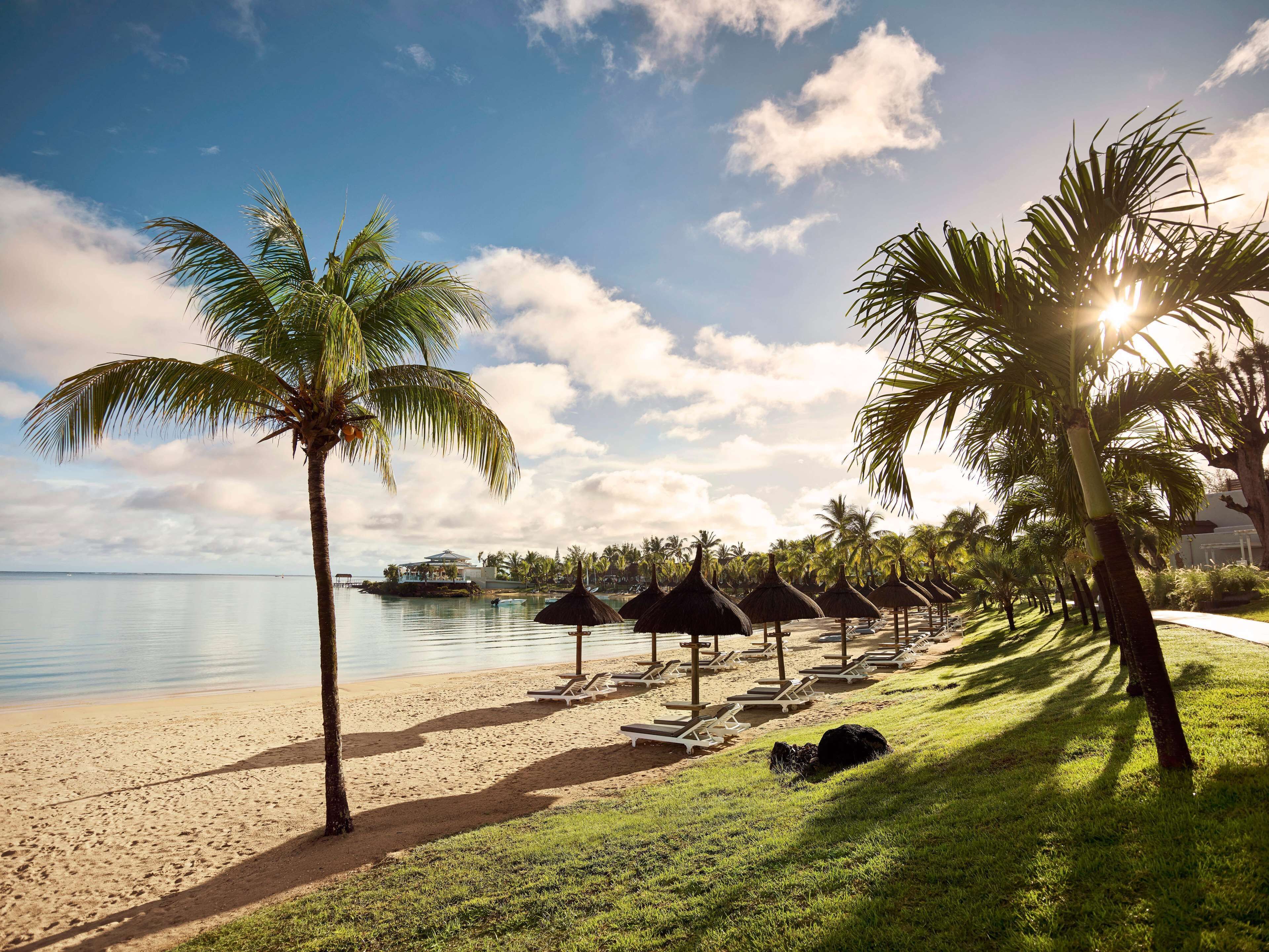 A beach with palm trees, lounge chairs, and umbrellas.