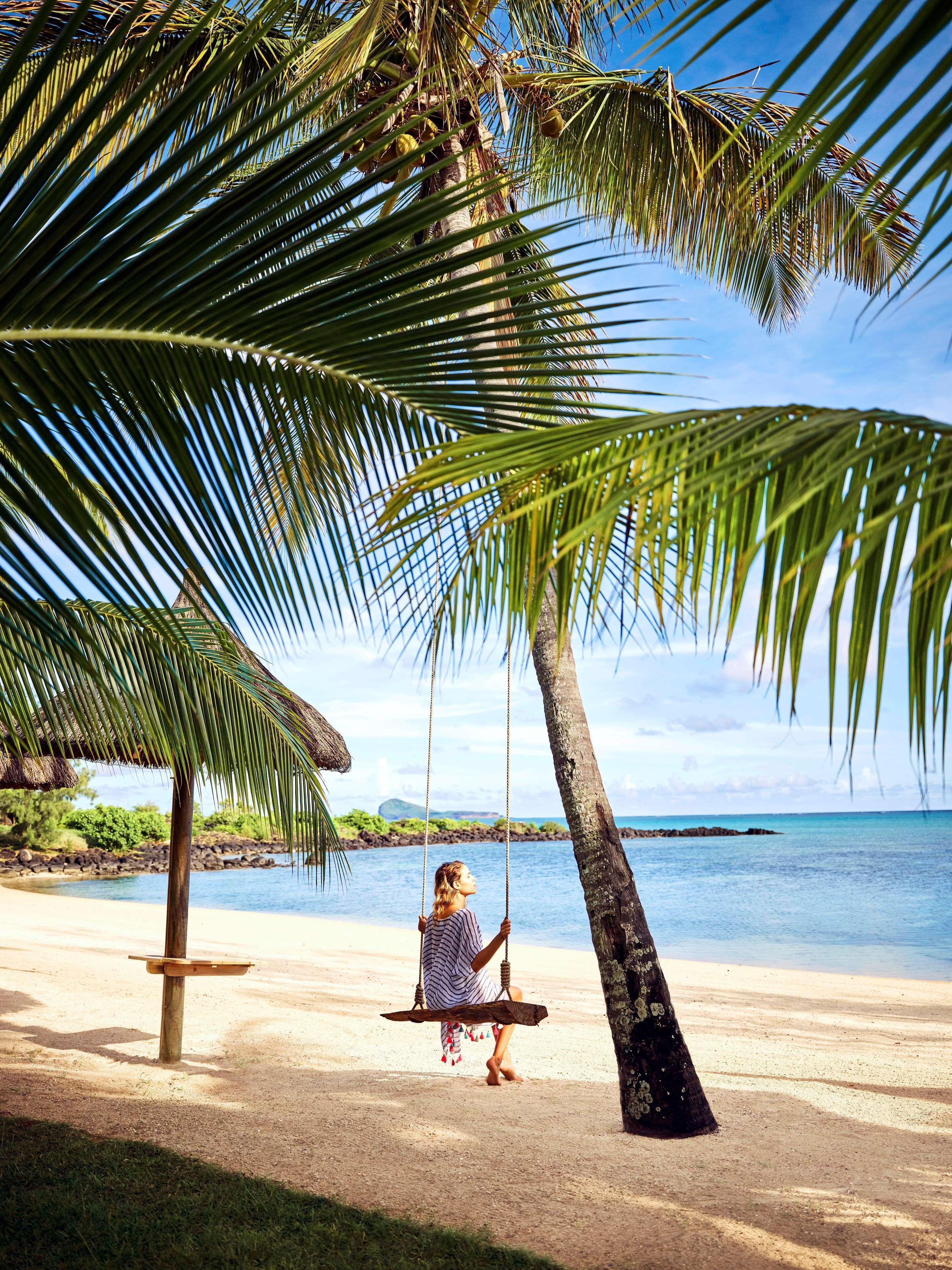 A beach scene with a swing under a palm tree, a sandy beach, and a calm sea in the background.