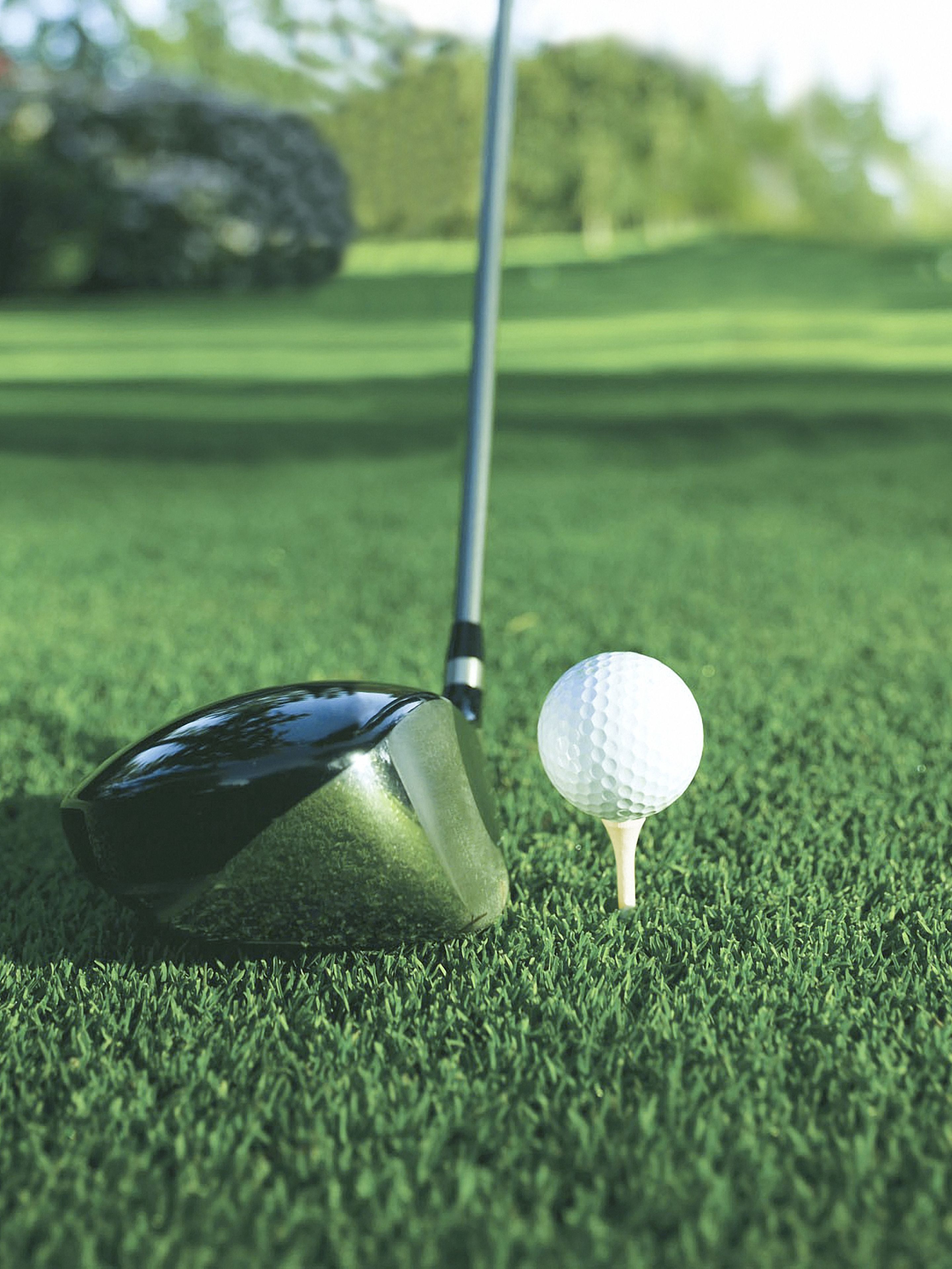 Un palo de golf y una pelota sobre un campo verde.