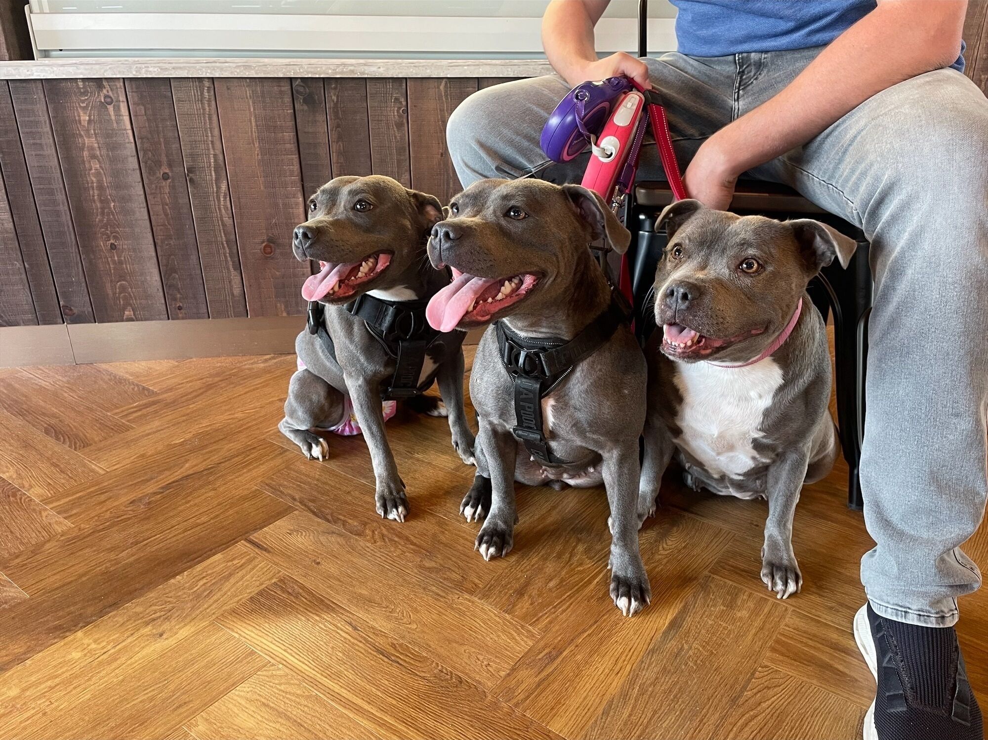 Foto - Hotel Nineteen