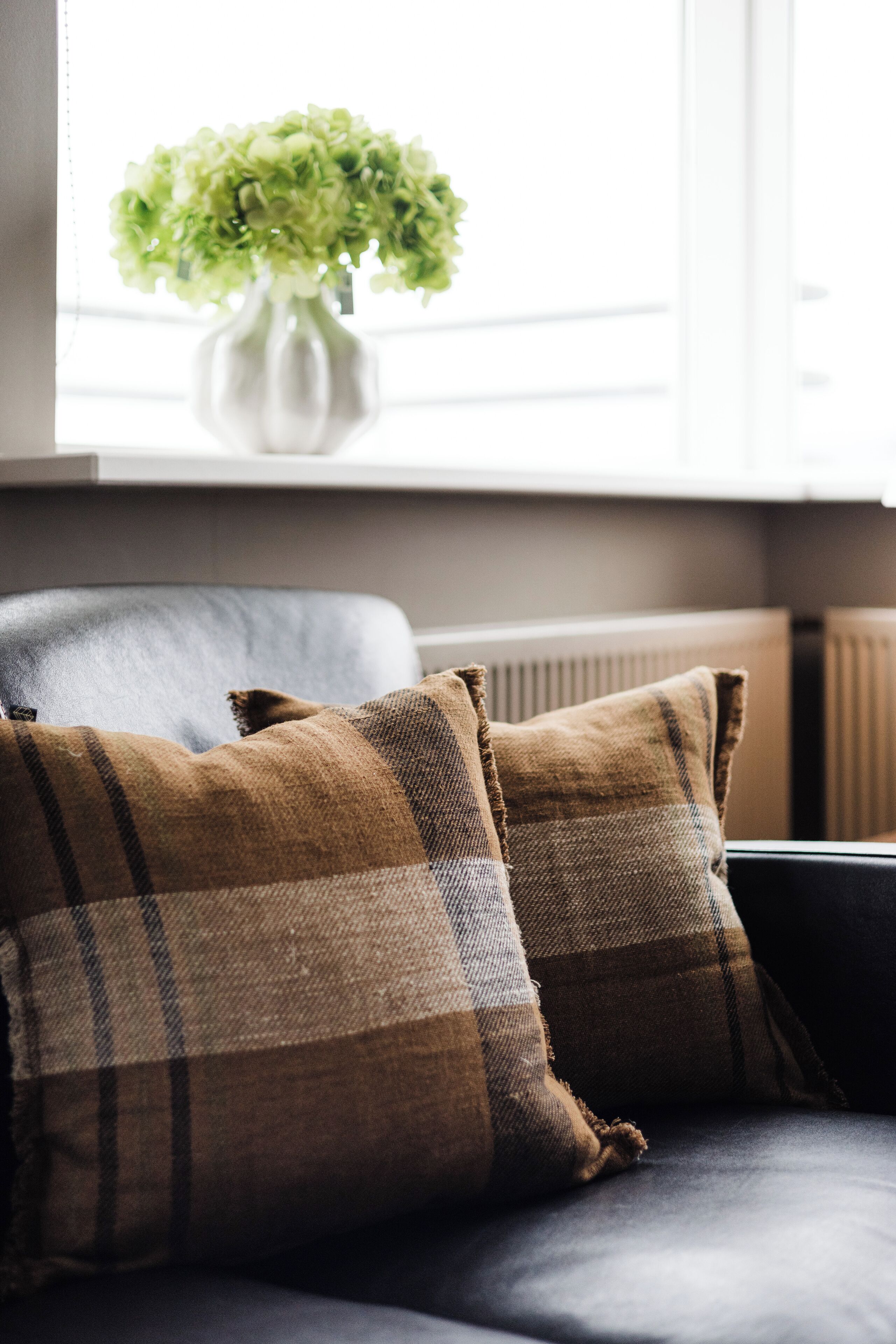 A room with a sofa, two pillows, and a window with a plant.