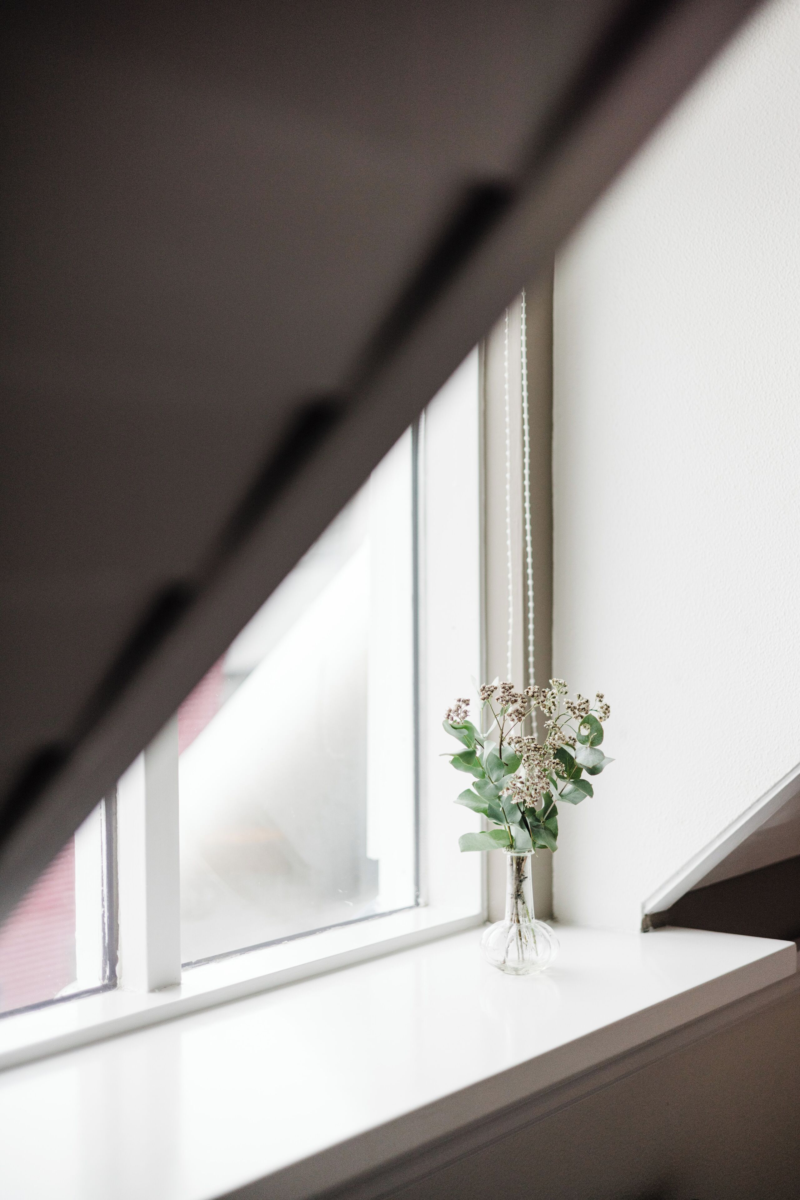 A clear view of a window with a vase of flowers on the sill.
