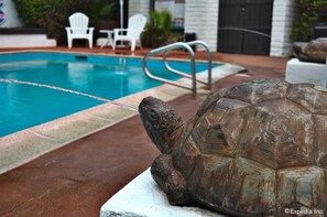 Une statue de tortue près d’une piscine, avec des chaises blanches et un portail noir en arrière-plan.