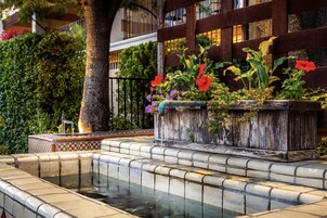 Jardín